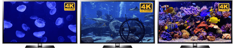 aquarium screensaver