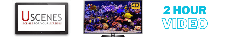 Download 2 Hour Aquarium Video
