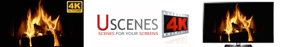Free Fireplace for TV Screen