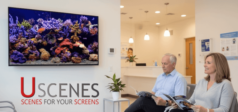 license waiting room videos
